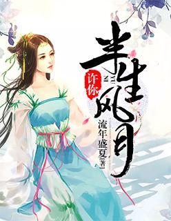 许你半生风月封面