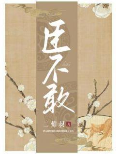 臣不敢封面
