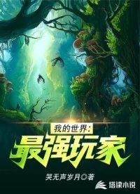 我的世界：最强玩家封面