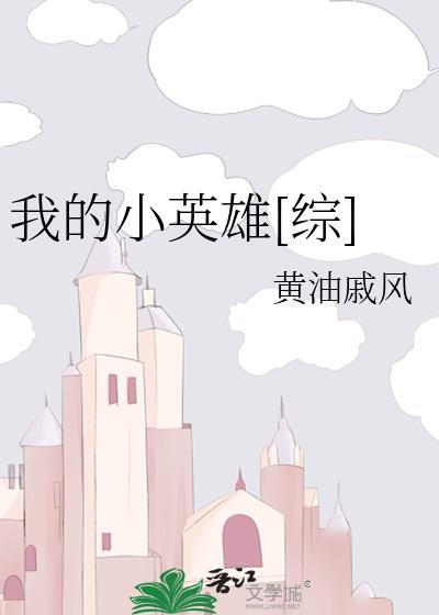 我的小英雄[综]封面