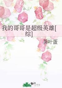 我的哥哥是超级英雄[综]封面