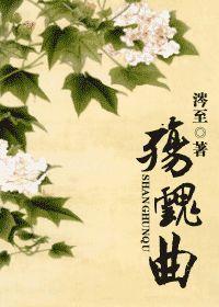 [鹿鼎记同人玄桂]宫禁封面