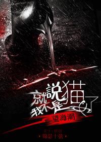 就说我不是猫女了封面