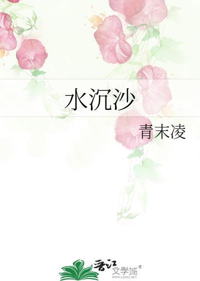 水沈沙封面