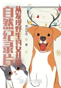 自然纪录片：从发现野生豹女开始封面