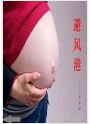 避风港封面