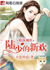 情深刻骨：陆少的新欢封面