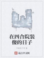 在四合院装傻的日子封面
