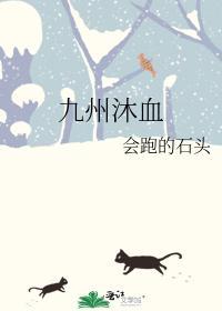 九州沐血封面