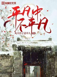 平凡中不平凡封面