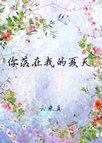 你落在我的夏天封面
