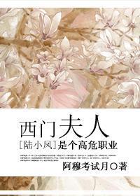 西门夫人是个高危职业封面