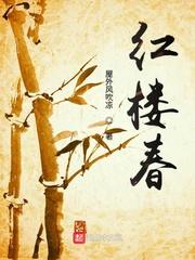 红楼贾宝玉林黛玉肉封面