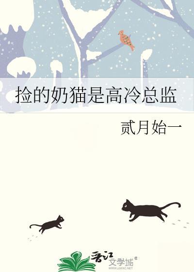 捡的奶猫是高冷总监封面
