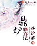 鼎炉修真记封面