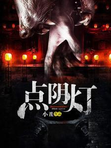 点阴灯封面