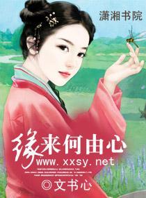 缘来何由心封面