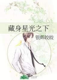 藏身星光之下封面