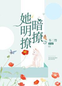 她明撩暗撩[娱乐圈]封面