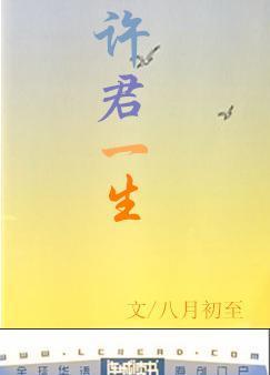 许君一生封面
