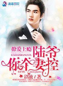 撩爱上瘾：陆爷，你个妻控封面