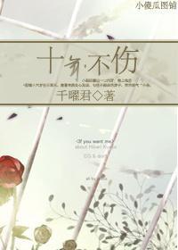 十年不伤封面