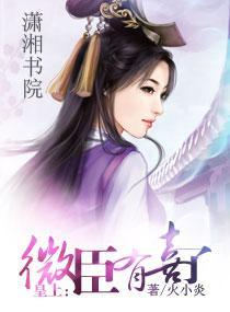 皇上，微臣有喜了封面