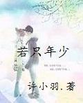 若只年少封面
