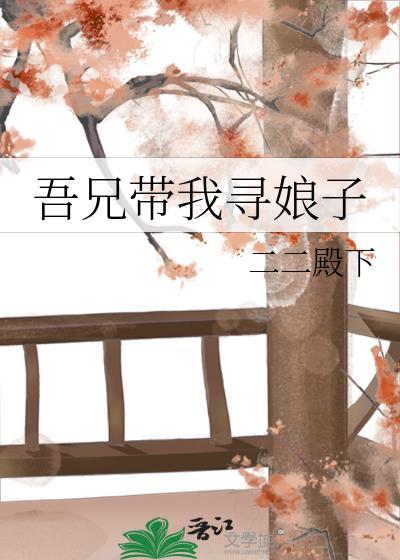 吾兄带我寻娘子封面