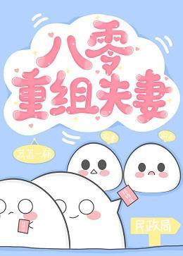 八零重组夫妻封面