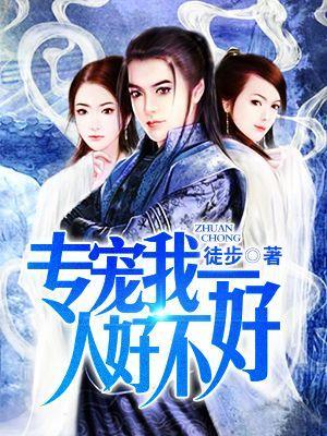 专宠我一人好不好封面