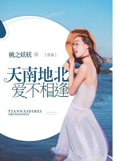 天南地北，爱不相逢封面