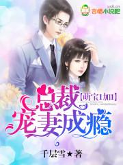叶逍林婉封面
