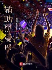 辅助黑曼巴封面