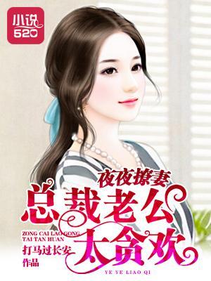 夜夜撩妻：总裁老公太贪欢封面