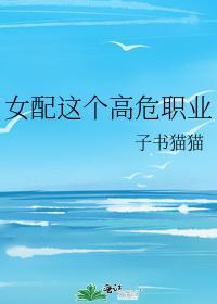 女配这个高危职业封面