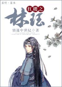 红楼之林珏封面