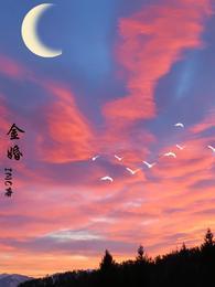金婚封面