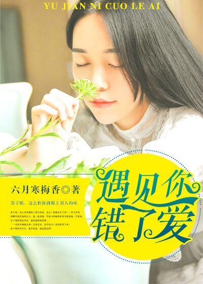 遇见你，错了爱封面