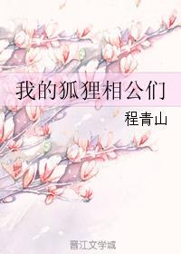 我的狐狸相公们封面