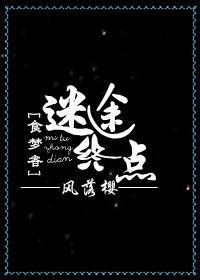 迷途终点封面