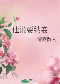 他说要纳妾封面