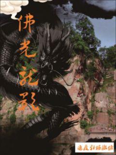 佛光龙影封面