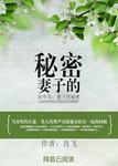 局中局：妻子的秘密封面