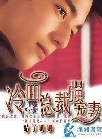 冷面总裁强宠妻封面
