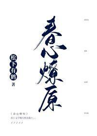 春心燎原封面