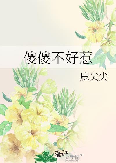傻傻不好惹封面