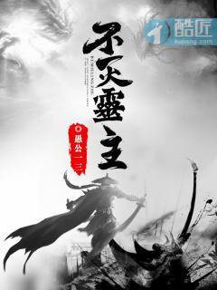 不灭灵主封面