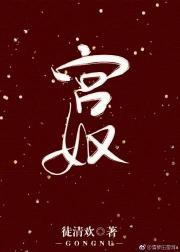 宫奴封面