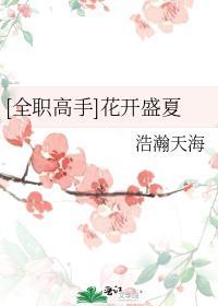 花开盛夏封面